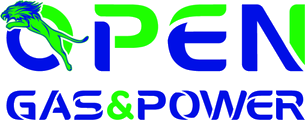 Logo di Open Gas